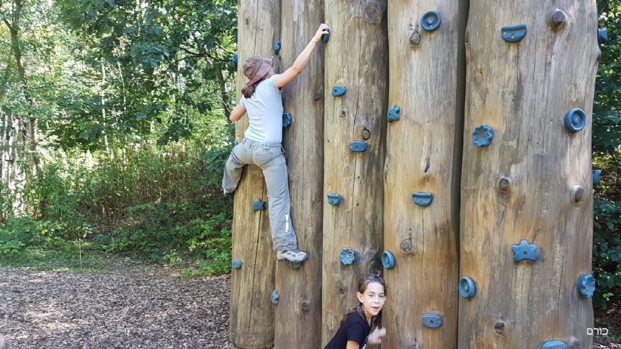 פארק כלורופיל